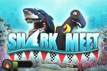 Shark Meet - Spin City - Congo